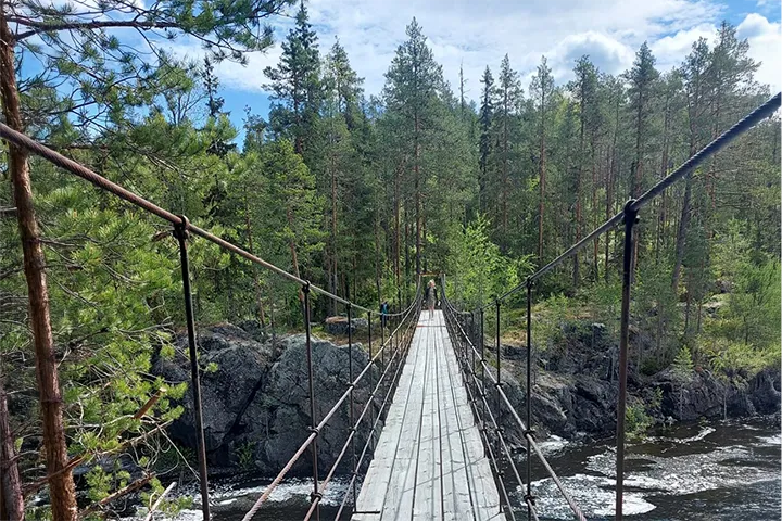 Nederhögen Vildmarkscenter - hängbron